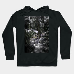 snowy Oregon forest 5 Hoodie